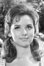 Dawn Wells Film ve Dizileri
