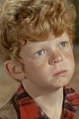 Johnny Whitaker Film ve Dizileri