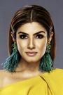 Raveena Tandon Film ve Dizileri