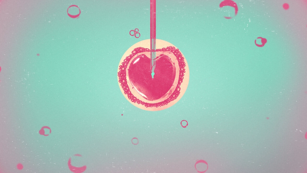 Baby Fever 1. Sezon 1. Bölüm izle