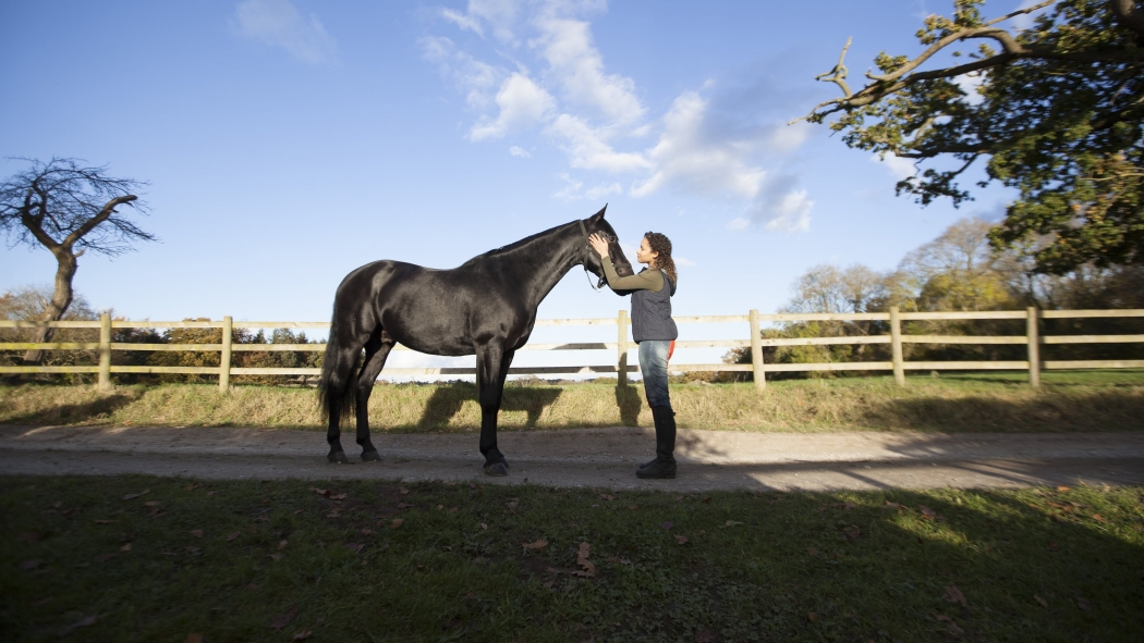 Kendini Özgür Bırak 1. Sezon 10. Bölüm izle
