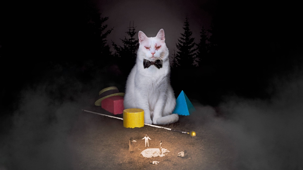 Koko-di Koko-da izle