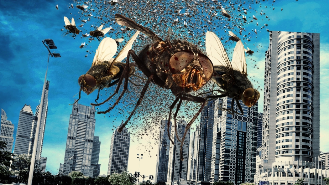 The Deadly Swarm izle